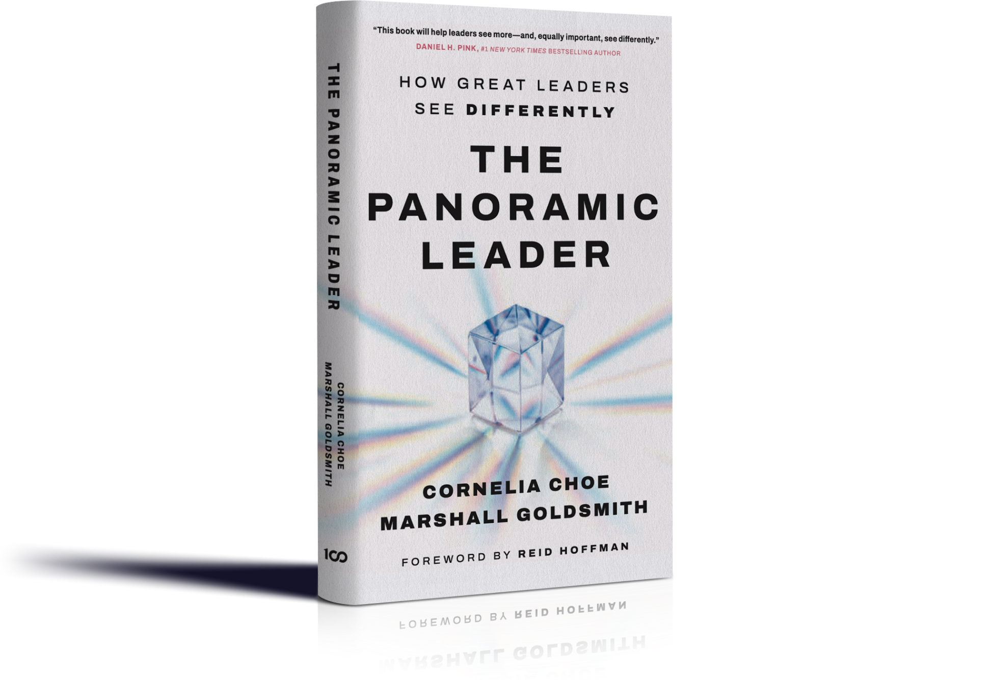 The Panoramic Leader: How Great Leaders See Differently